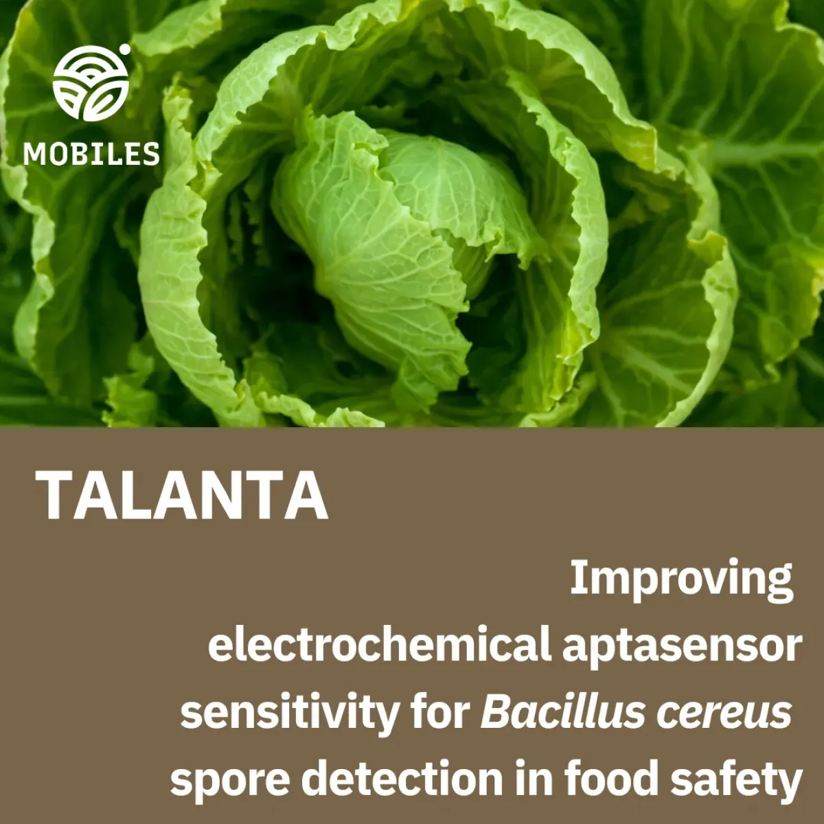 Preventing Food Contamination Through Rapid Spore Detection