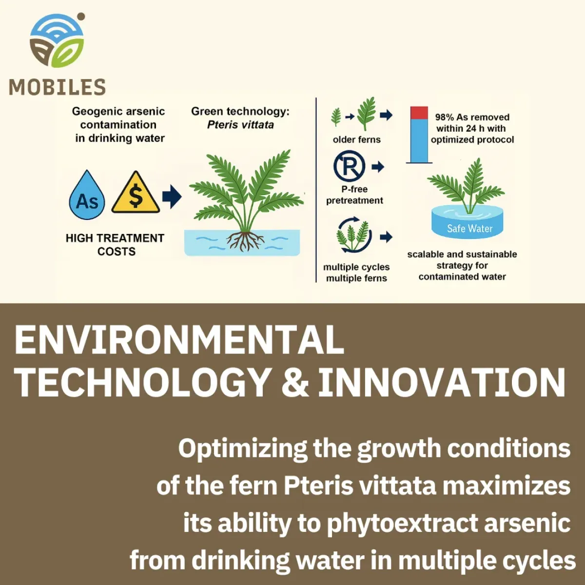 Improving Plant-Based Arsenic Removal Using Pteris vittata