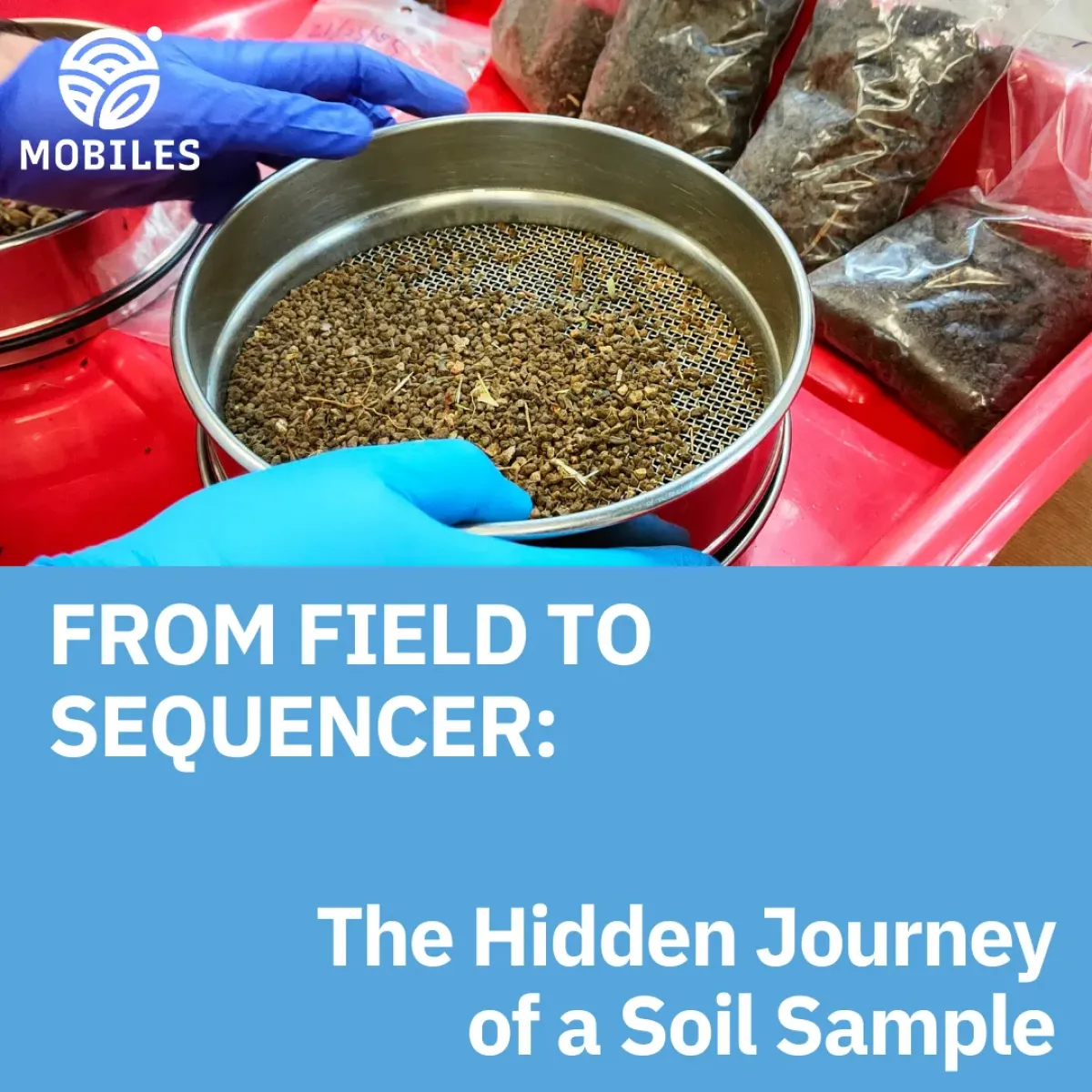 From Field to Sequencer: The Hidden Journey of a Soil Sample