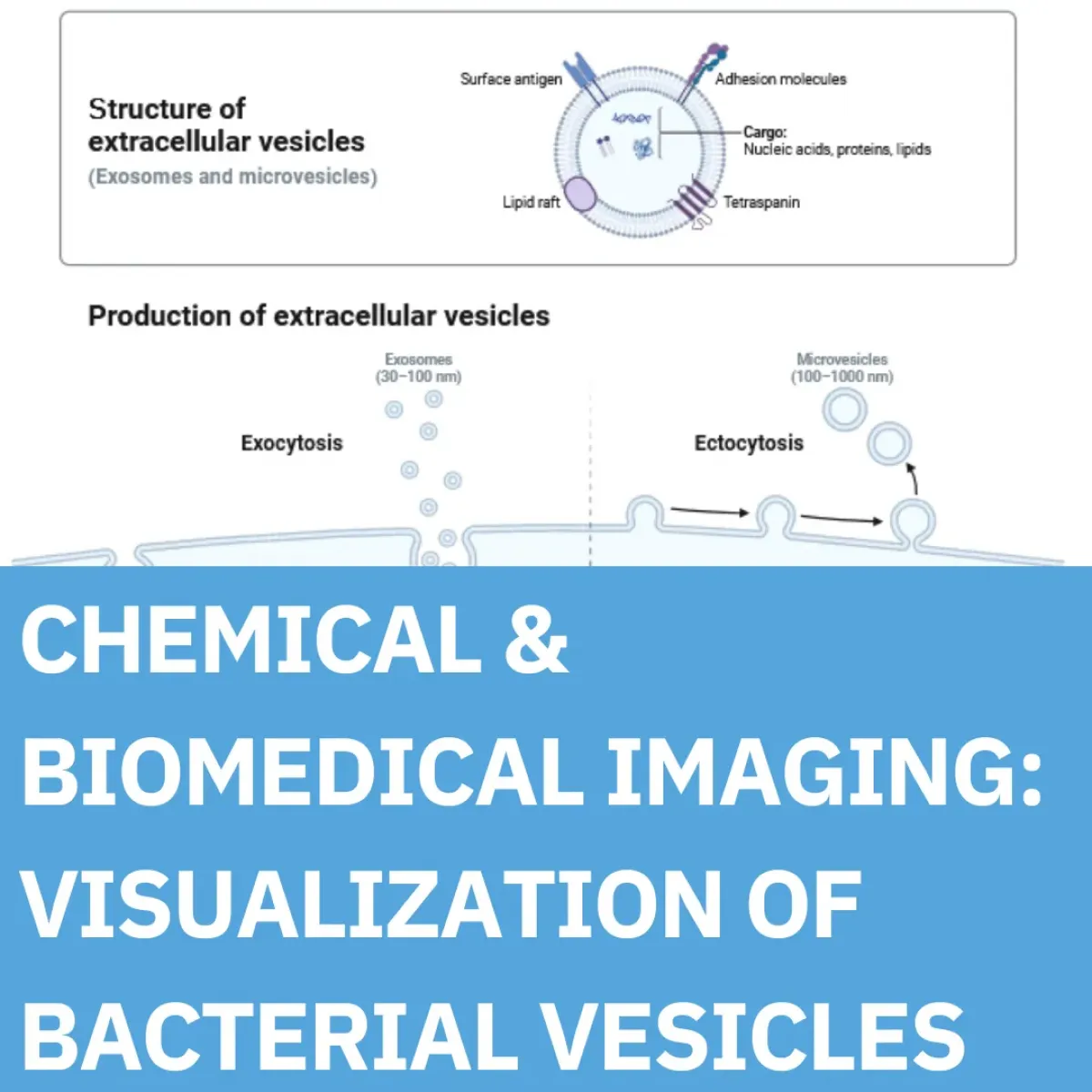 Publication: Chemical & Biomedical Imaging