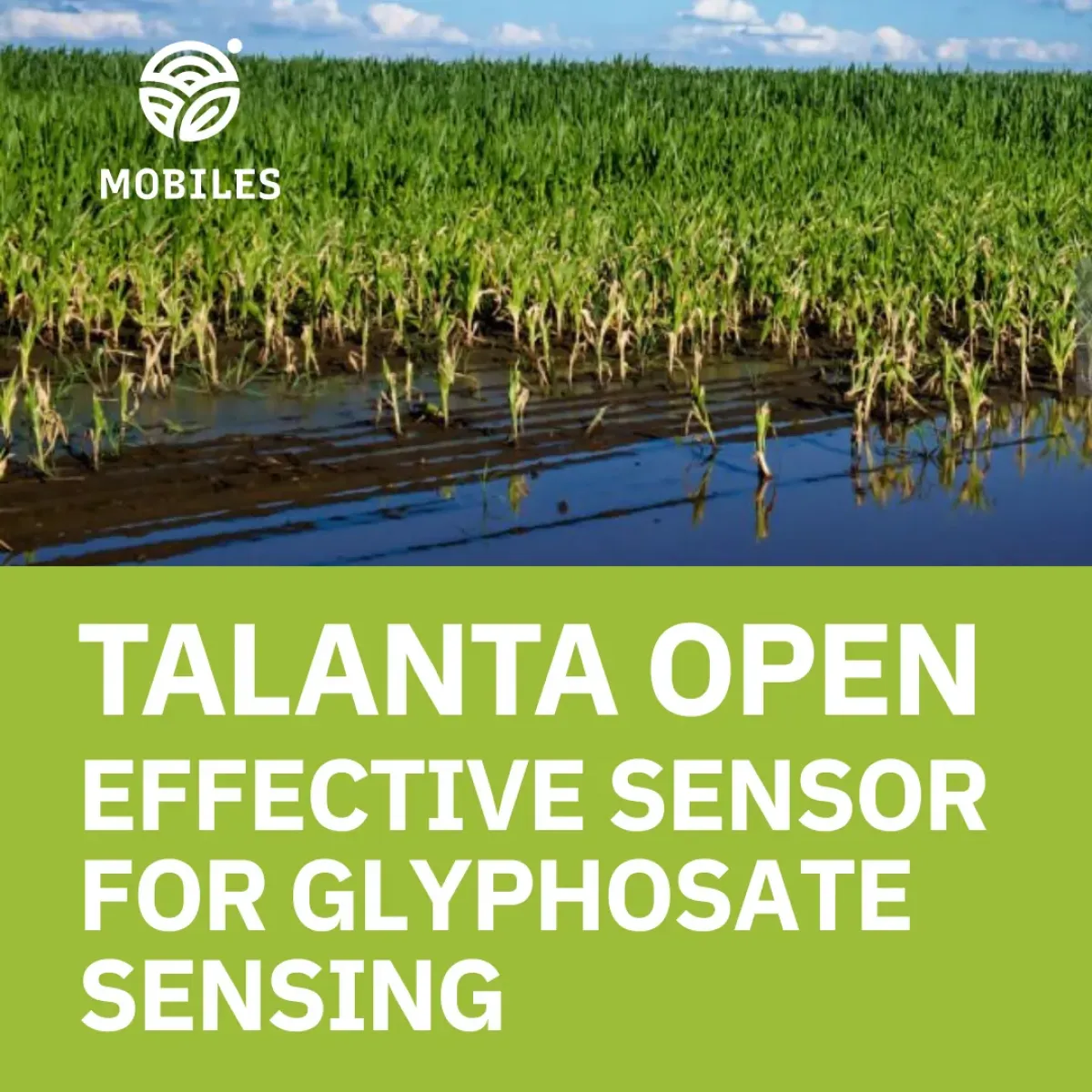 Effective Sensor for Glyphosate Sensing