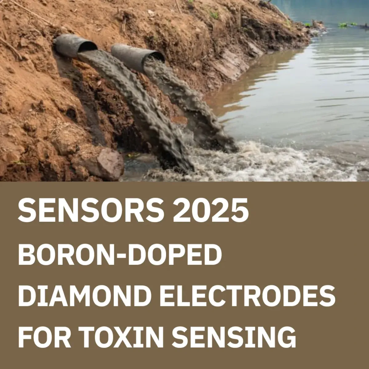 Boron-doped Diamond Electrodes for Toxins Sensing