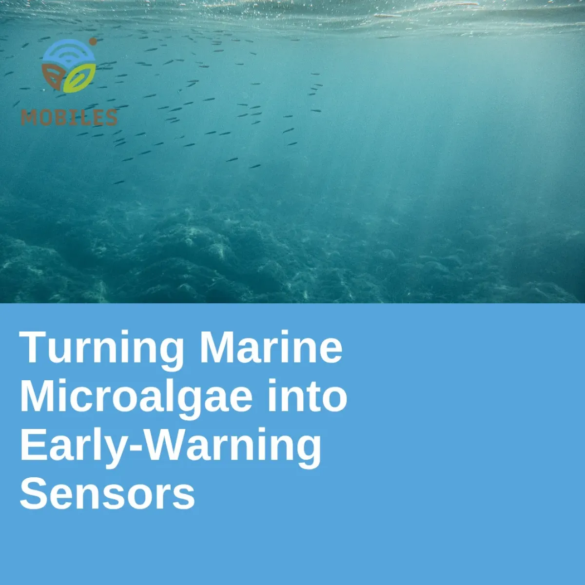 Turning Marine Microalgae into Early Warning Sensors