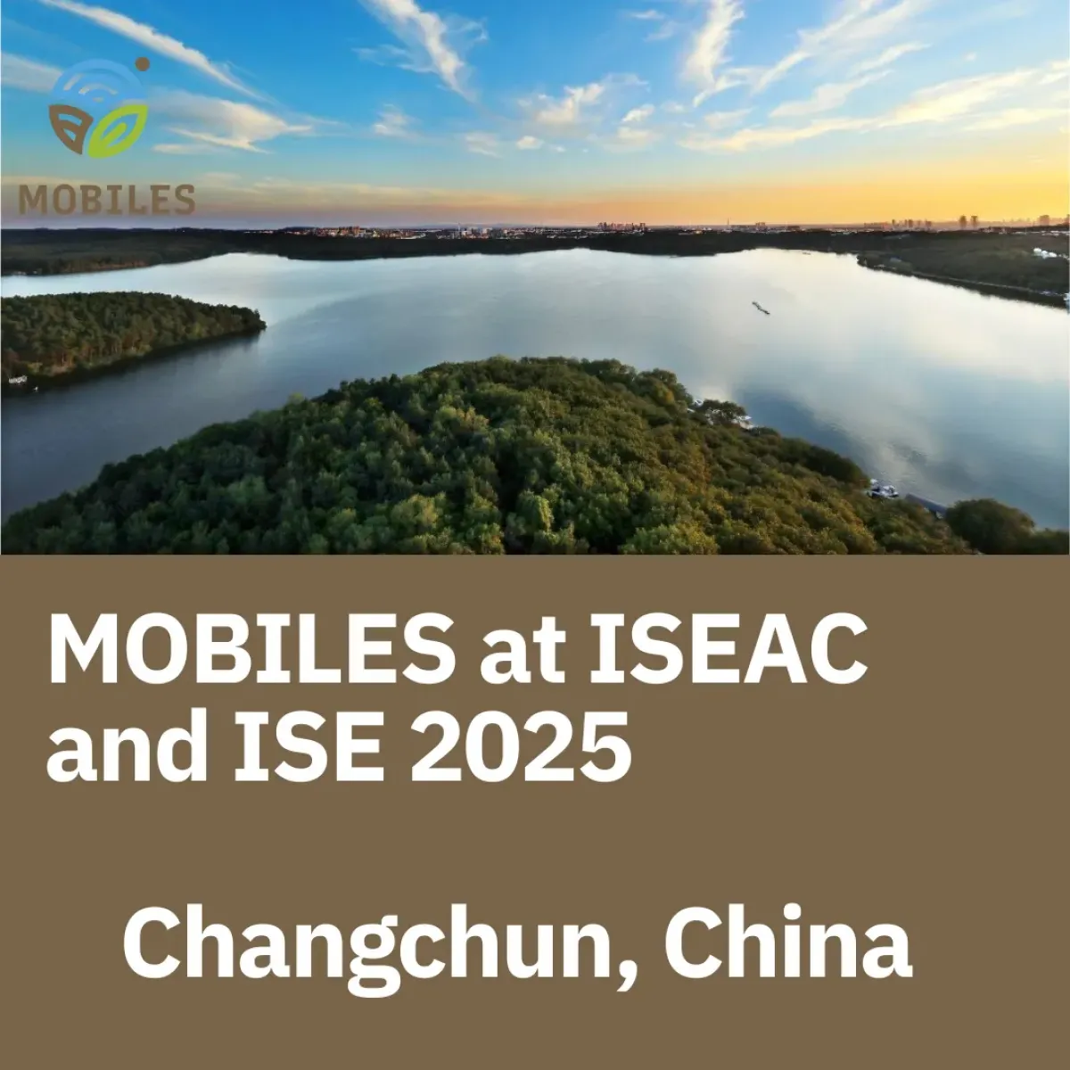 Advancing Electrochemical Sensors for Health, Food, and Environment