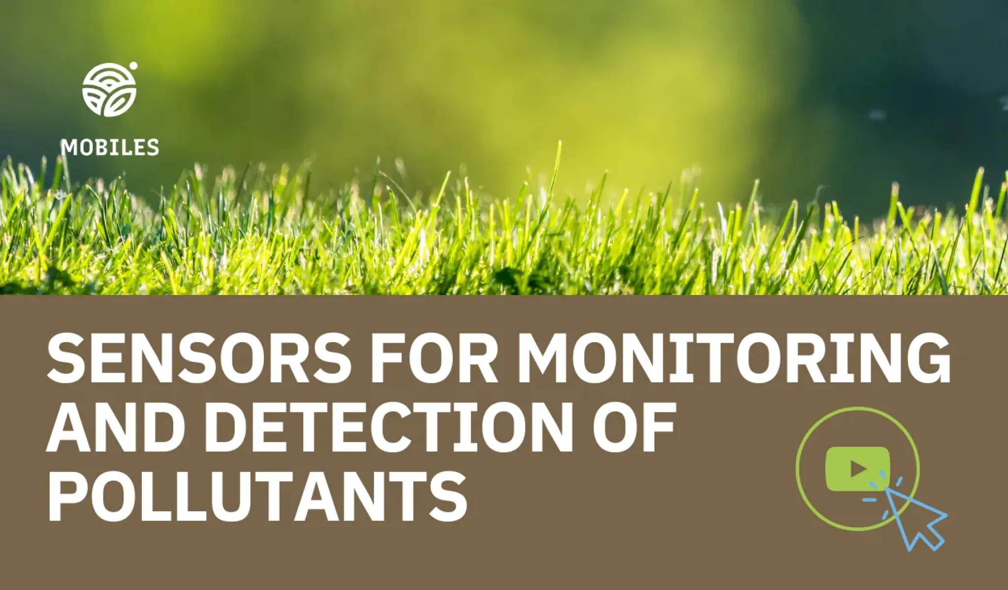 Video: Sensors for Monitoring and Detection of Polutants