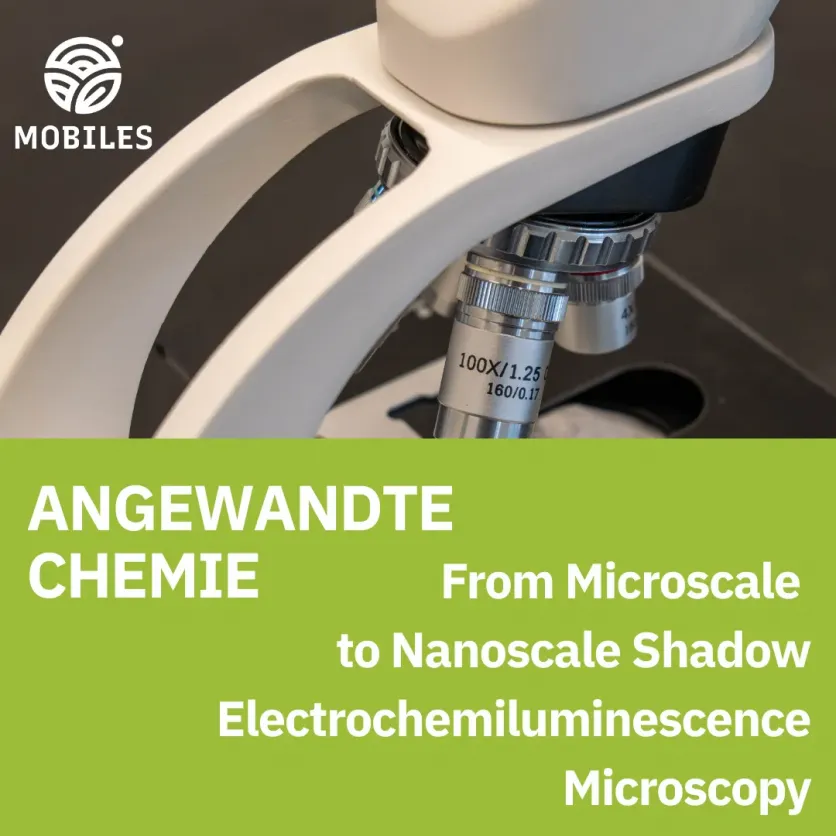 Shadow electrochemiluminescence pushes optical imaging into the nanoscale