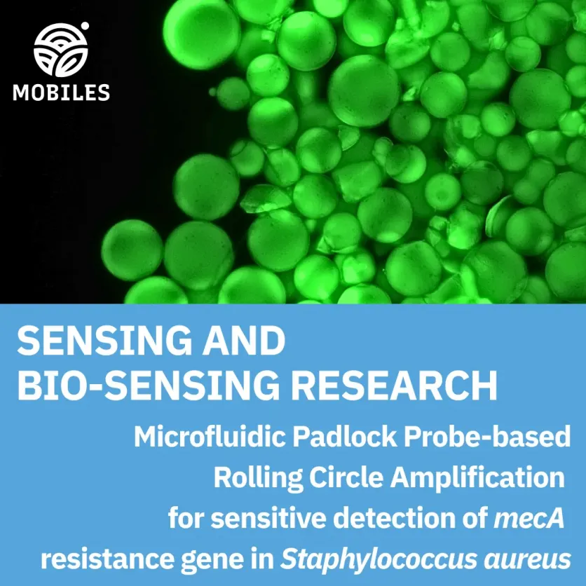 Faster Detection of Antibiotic Resistance