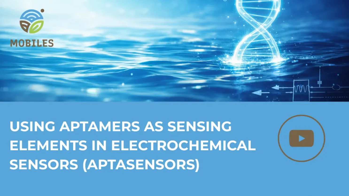 Using Aptamers as Sensing Elements in Electrochemical Sensors (Aptasensors)